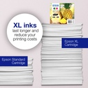 epson-c13t10h24010-2.jpg