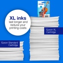 epson-c13t16n24010-5.jpg