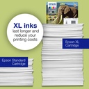epson-c13t24334012-4.jpg