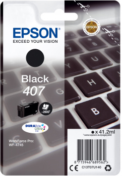 Epson 407 / C13T07U140 black ink cartridge, 2,900 pages