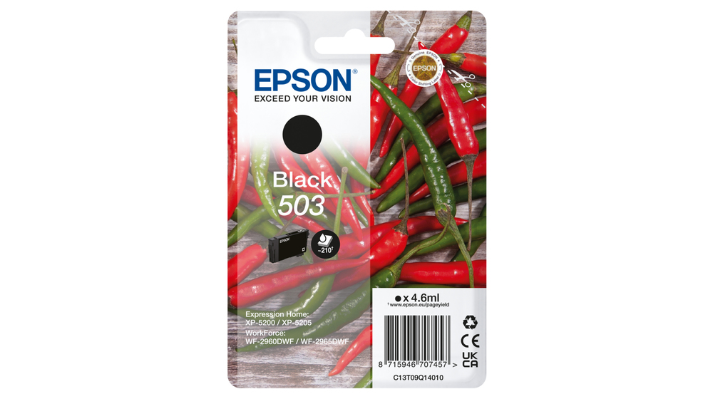 Epson 503 / C13T09Q14010 black ink cartridge, 210 pages